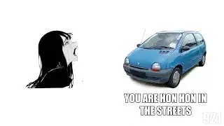 Please Stop Saying Merci Twingo
