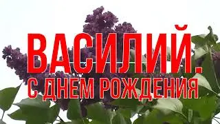 ВАСИЛИЙ, СДНЕМ РОЖДЕНИЯ