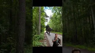 побег от индораптора