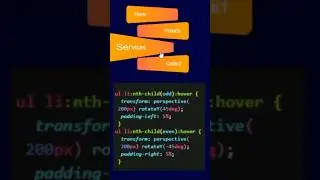Button Hover Effect |HTML CSS 