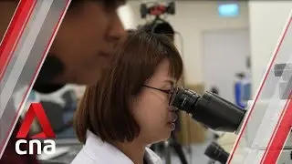 How can you tell a forged document from an authentic one? We asked the experts for help