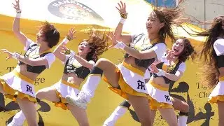 Tigers Girls ダンスステージ　　　  ULTRA TIGER（RADIO FISH）