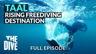 Taal, Batangas Free Diving Adventure #TheDivePH