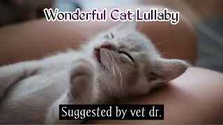 Relaxing Lullaby for Cat and Kittens, Help to Your Cat Calm, Cat Sleep Music #catmusic