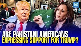 Kamala Vs Trump: Pakistani Americans are 'divided' over whom to vote for in the US polls | Dawn News