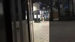 퇴근하는 고양이