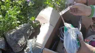 Дом и Сад/Обзор посылки domicad.com.ua