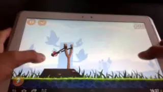 Angri birds
