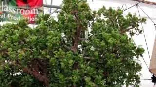 The Green Spot - Home & Garden Centre