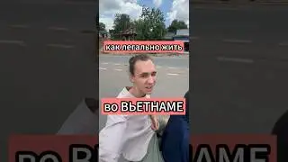 Легальная жизнь во Вьетнаме тгк ElisSpot #shorts #вьетнам #жизньвовьетнаме #работавьетнам