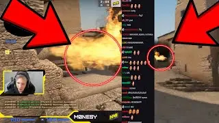 M0NESY: 