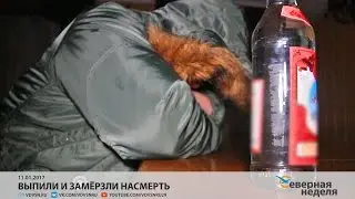 Выпили и замерзли насмерть // СЕВЕРНАЯ НЕДЕЛЯ VDVSN.RU