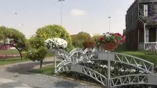 Сад цветов  в Дубае (Dubai Miracle Garden)