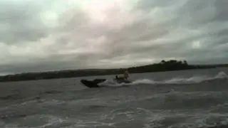 Rascal in lake Mahon
