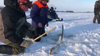 🎣🐟