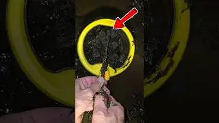 2 meters of gold
