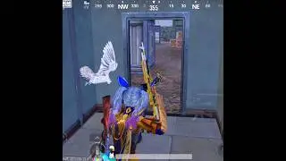Busting Myths in BGMI And PUBG 