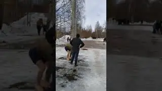 Uzbek ug'loni kurin