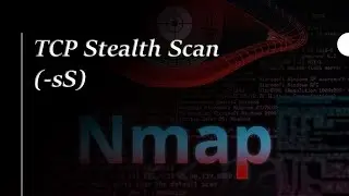 02 TCP Stealth Scan