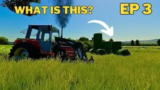 Greenwich | What do I do with the bales?