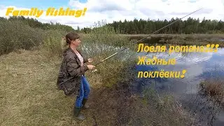 Ловля РОТАНА! ЖАДНЫЕ ПОКЛЁВКИ!  Catching ROTANA! GREEDY BITS!