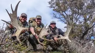 SHED HUNTING WITH HUSH AND CHAD MENDES