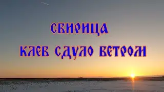 СВИРИЦА 11 01 24 Ветра много клева мало )))