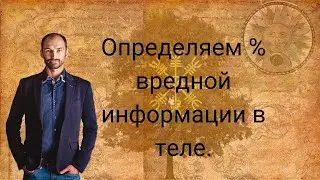 Знания или информация? Определяем % вредной информации..