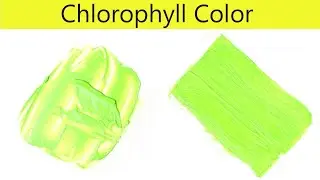 Chlorophyll Color - How To Make Chlorophyll Color - Color Mixing