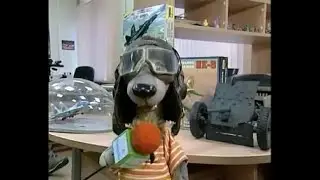 🛩️Модели самолетов - 08 - По секрету всему свету (Шишкин лес)