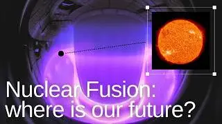 Nuclear Fusion: where is our future?