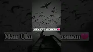 Qo'y O'ylama O'lmasman🥺💔 