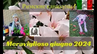 Как быстро пролетел чудесный июнь! Meraviglioso giugno 2024