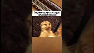 когда только начал играть по нотам 