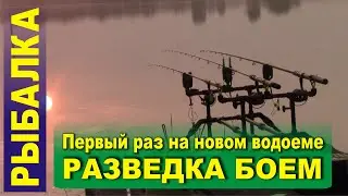 Разведка боем. Первый раз на новом водоеме. Знаменский.