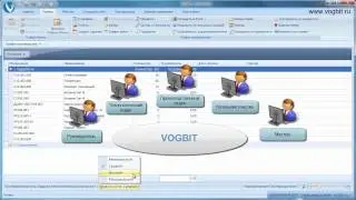 VOGBIT, Выбор способа использования программы