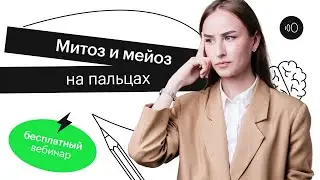 Митоз и мейоз на пальцах | ЕГЭ БИОЛОГИЯ 2022 | СОТКА