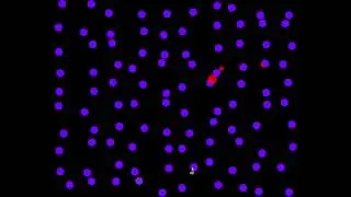 Preattentive Processing with Eye-tracking