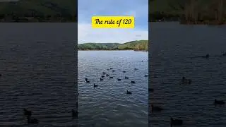 Want to grow your wealth in the stock market but scared of risks? #investing #moneytips #ruleof120