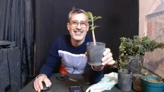 DIRECTO DIA DOMINGO DE SORTEO DE RIFA!!! 8 DE SEPTIEMBRE 2024