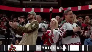 NHL Arenas' Final Goals