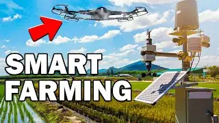 AI in Agriculture Improving Efficiency and Sustainability