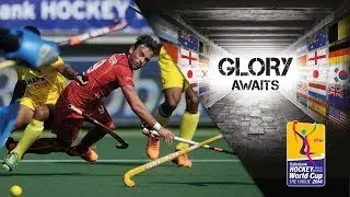 Belgium vs India - Men's Rabobank Hockey World Cup 2014 The Hague Pool A [31/5/2014]