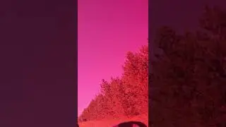 🕶🕶🕶😎