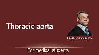 Thoracic aorta