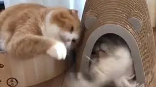 Это моя частная собственность и сюда запрещено вторгаться!