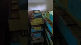Термокомната для мëда