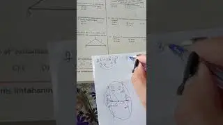 11 sinif buraxılış imtahanlarına hazırlaşanlar üçün sınaq N5 (25 sual)