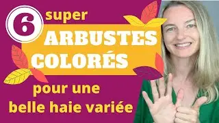 6 super arbustes COLORÉS pour une belle HAIE VARIÉE !