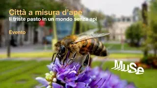 Città a misura d'ape - Il triste pasto in un mondo senza api